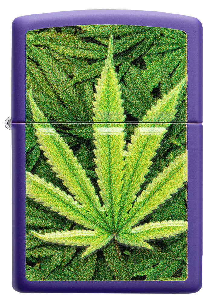 Zippo Feuerzeug Frontansicht lila matt mit Abbildung von Cannabis Pflanzen