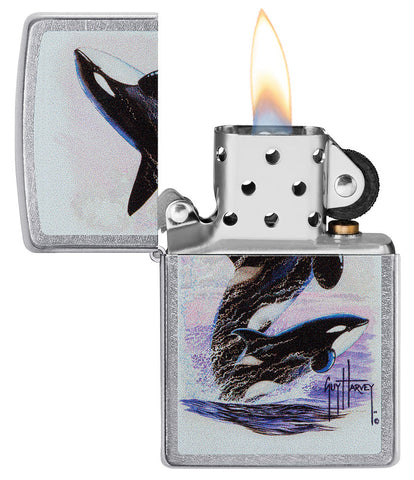 Zippo Feuerzeug Frontansicht verchromt geöffnet und angezündet  mit farbiger Abbildung von zwei Schwertwalen gezeichnet von Guy Harvey